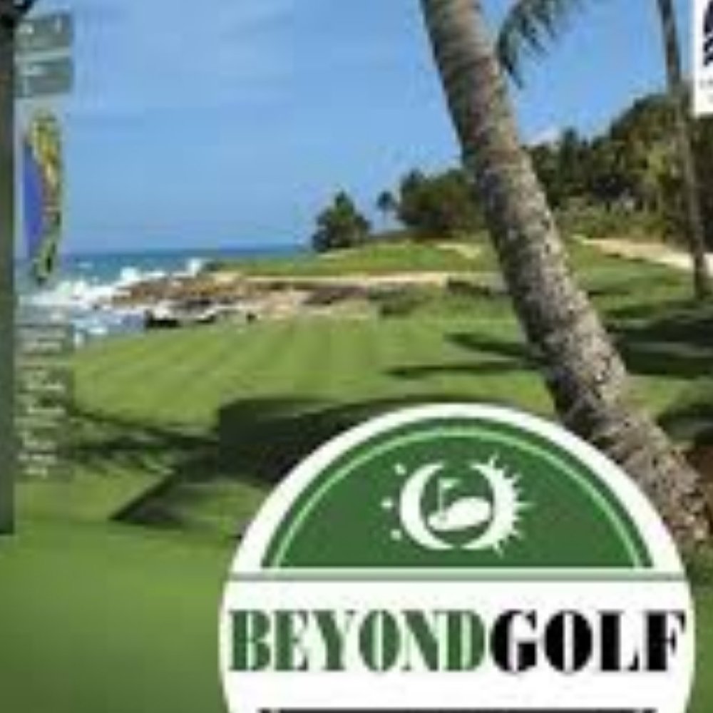 Wedge Golf Performance Reversible Wind Breaker - image 7